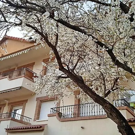 One Bedroom Appartement With Furnished Terrace And Wifi At La Adrada *